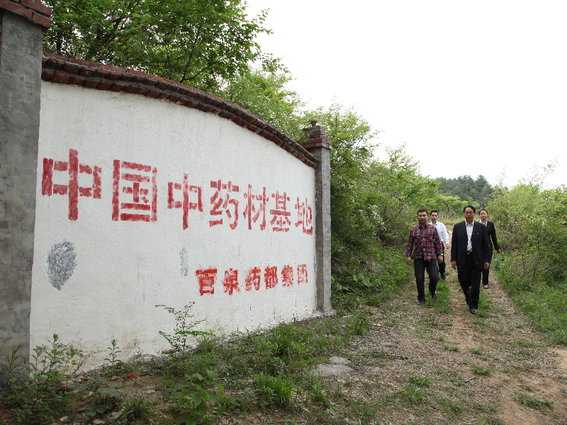 百泉藥都中藥材種植基地